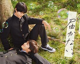 seo策划工资多少